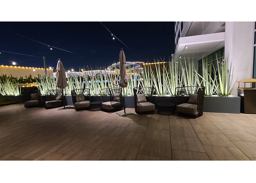 JW Marriott Image #11